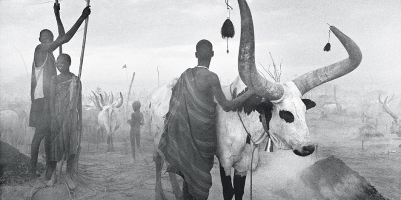 Sebastião Salgado. Africa