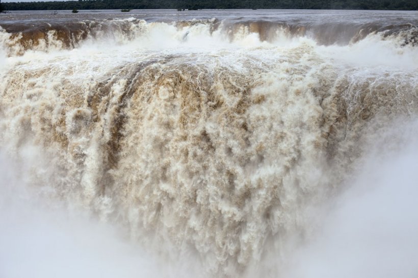 Wolfgang Tillmans. Neue Welt