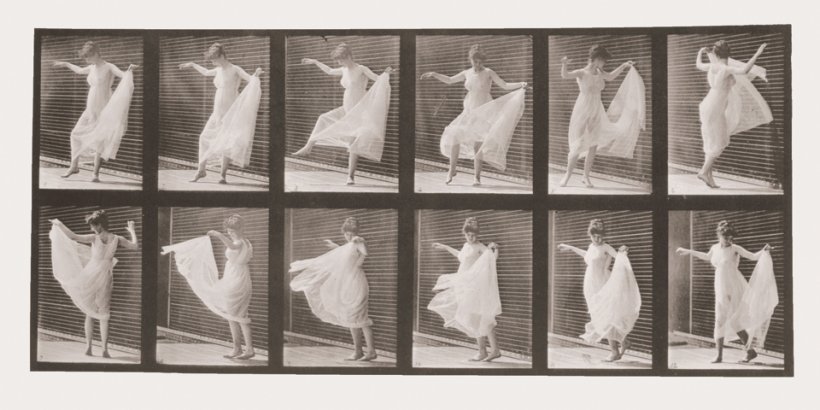 Eadweard Muybridge. The Human and Animal Locomotion Photographs