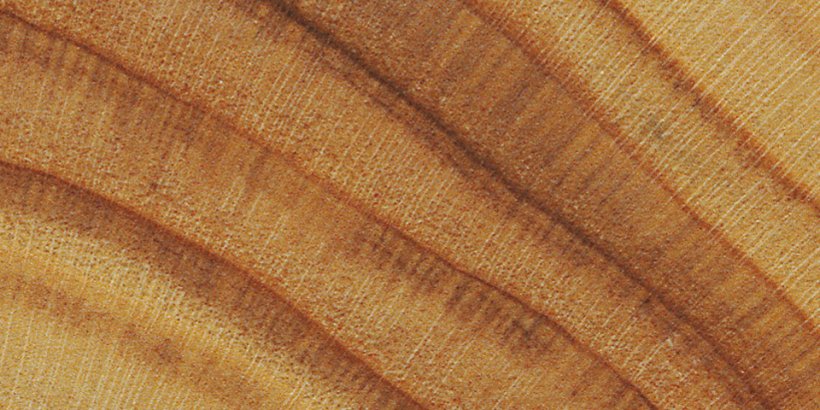 The Woodbook
