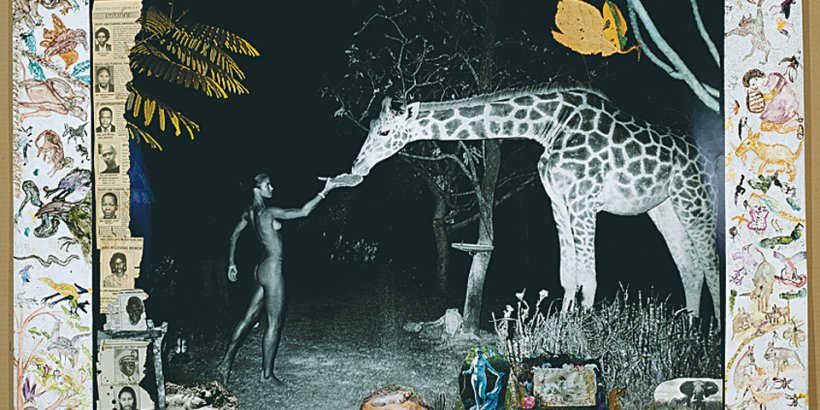 Peter Beard, Art Edition No. 251-2500