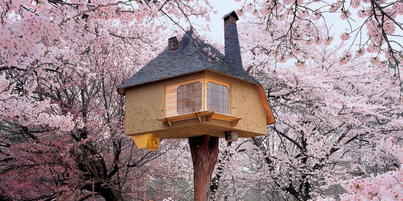 Tree Houses. Fairy Tale Castles in the Air