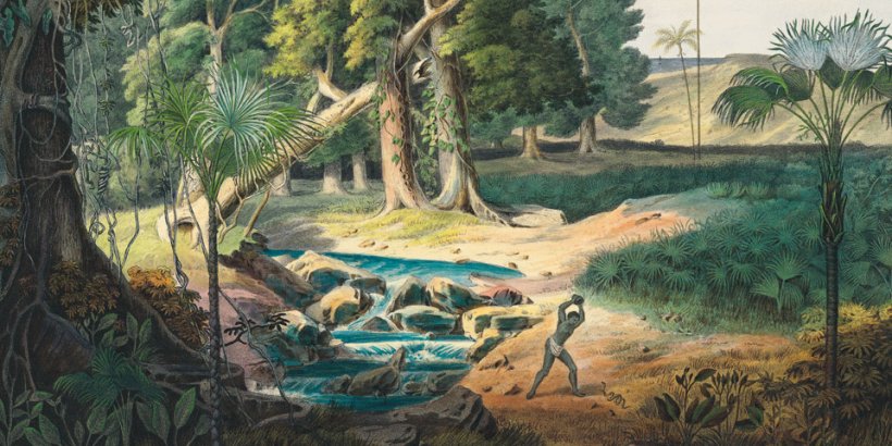 Carl Friedrich Philipp von Martius. The Book of Palms