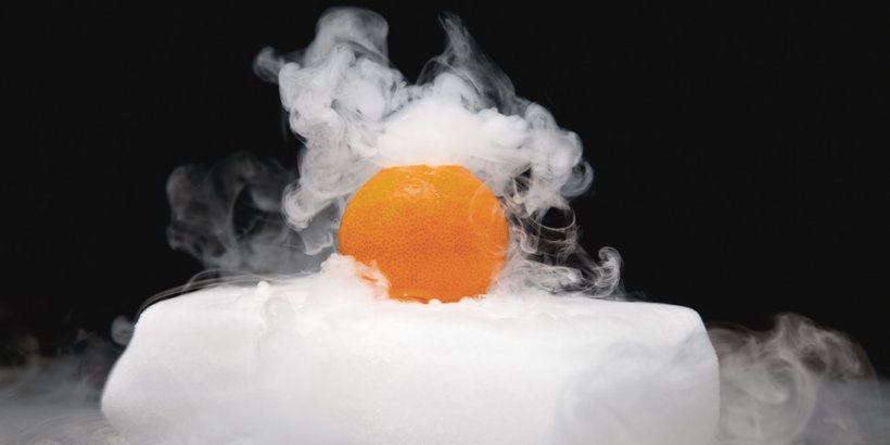 Modernist Cuisine. The Art and Science of Cooking