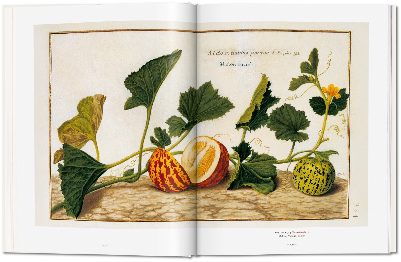 Masterpieces of Botanical Illustration Libro Unica Multicolore Logos Libri Garden Eden 