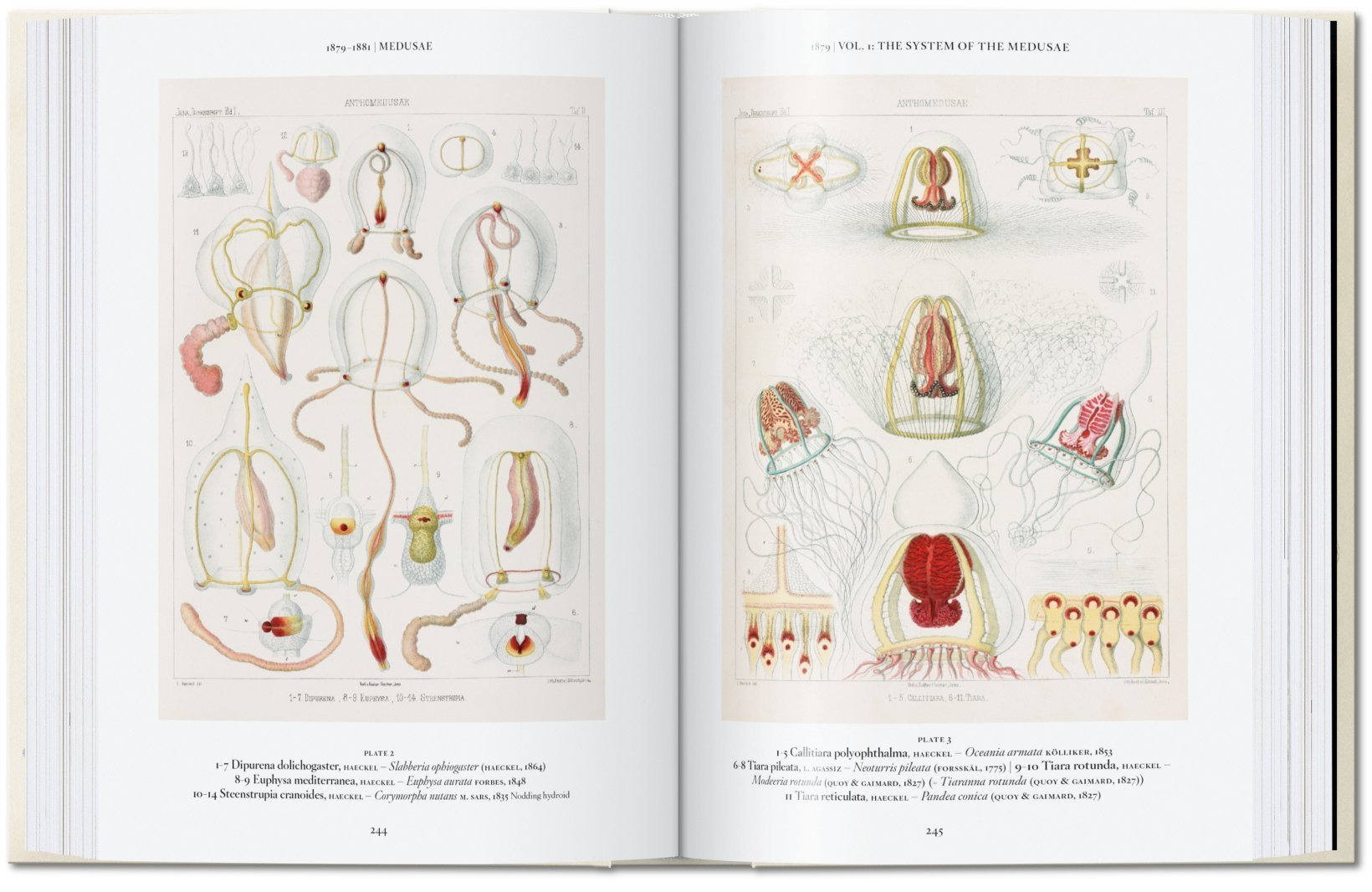 The Art and Science of Ernst Haeckel 40th Ed. 