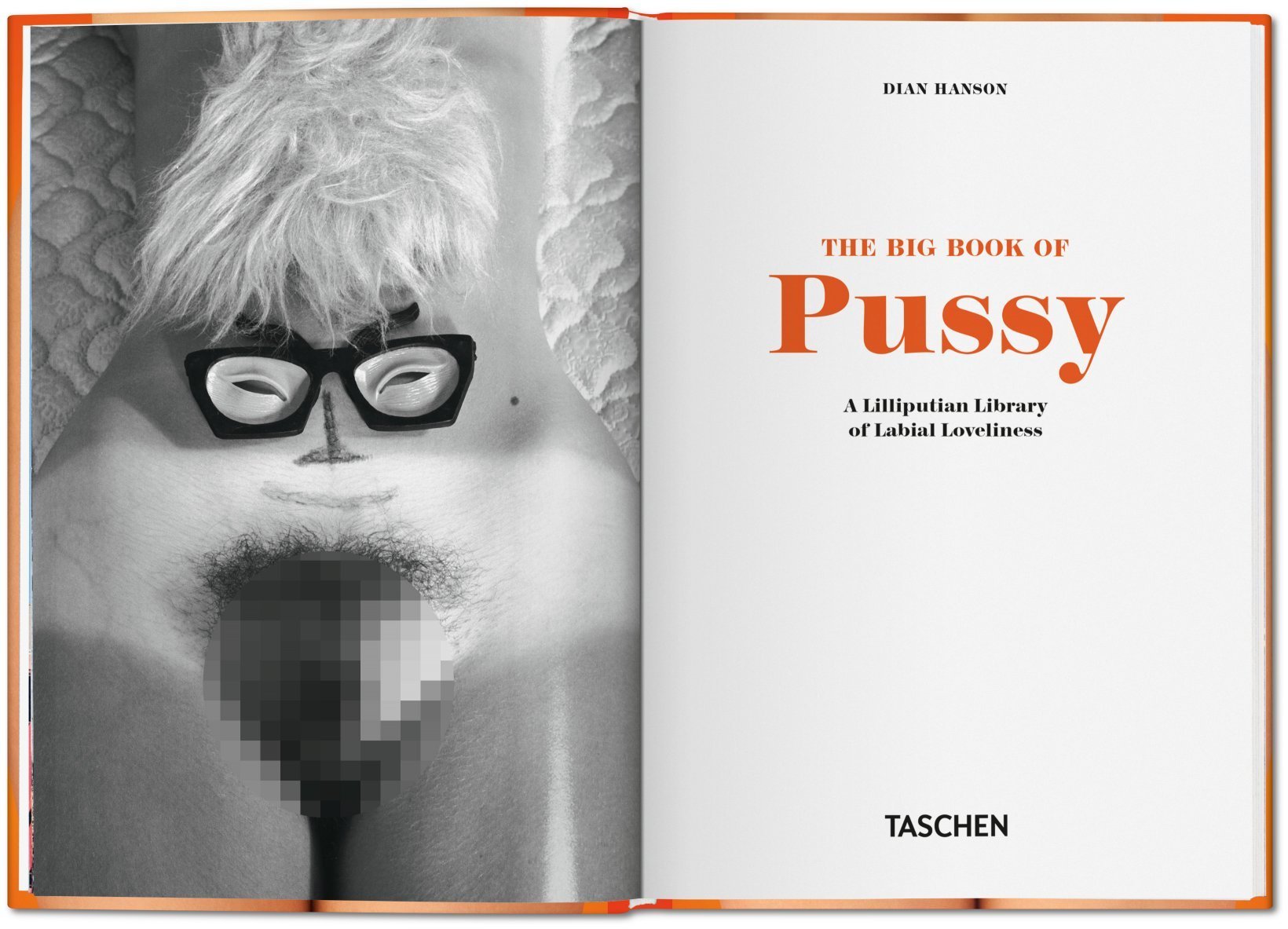 Slideshow taschen big book of pussy.