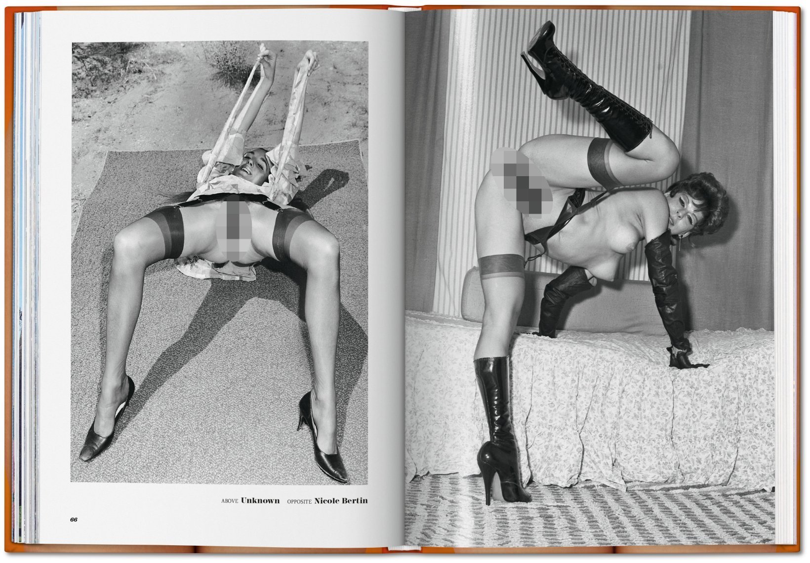 Taschen Pussy Book.