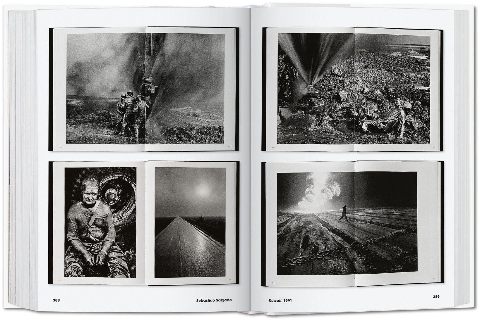 Photo Icons. 50 Landmark Photographs and Their Stories (Bibliotheca