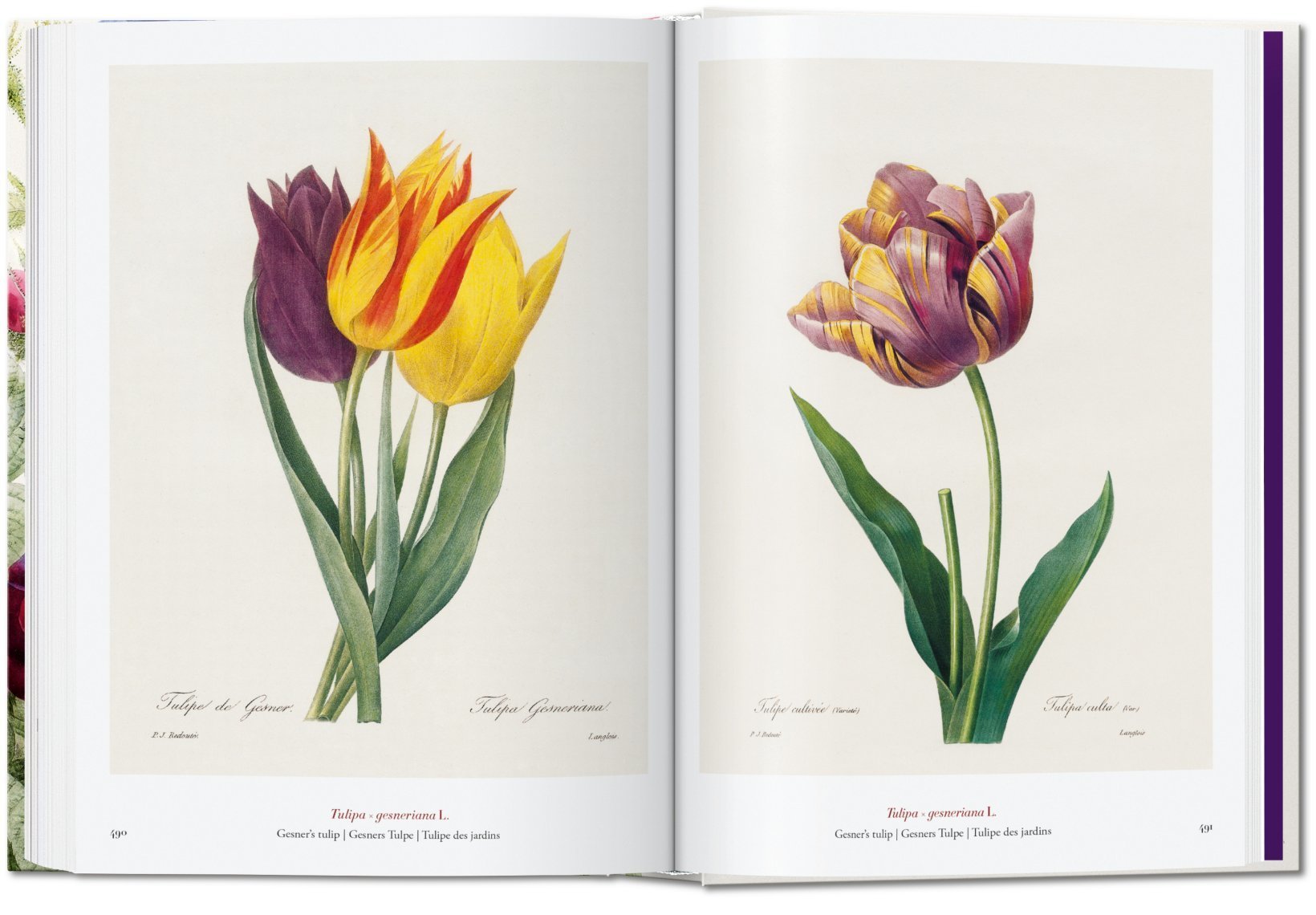 Redouté. The Book of Flowers. 40th Ed. TASCHEN Books