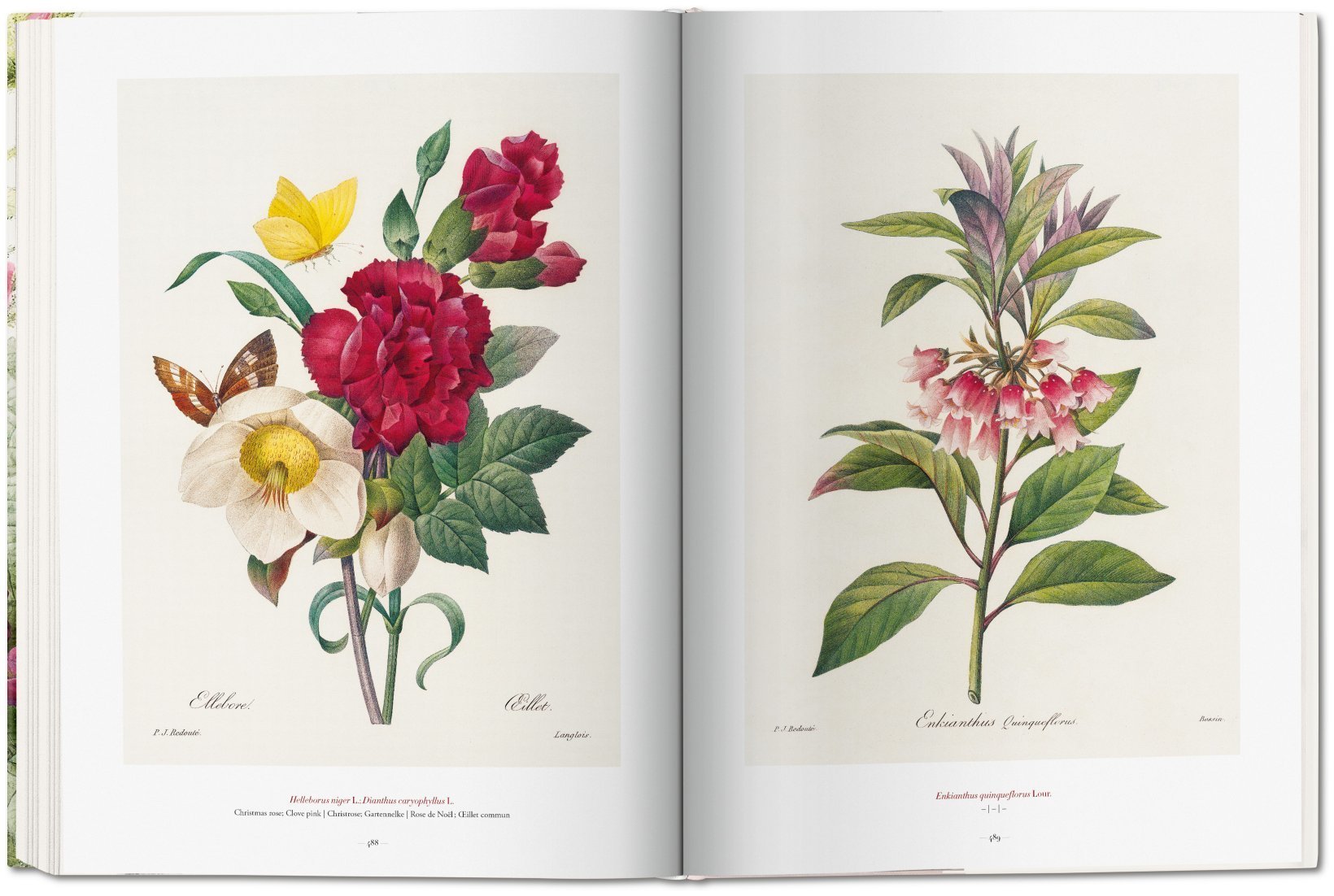 PierreJoseph Redouté. The Book of Flowers. TASCHEN Books