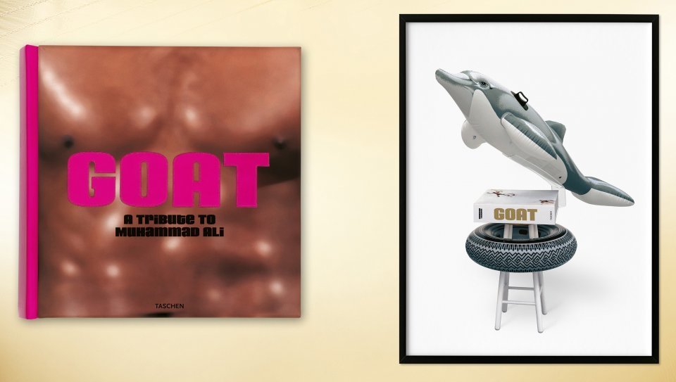 Radial Champs
(Frame not included)