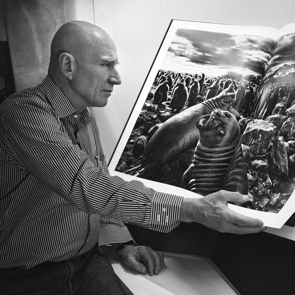 Salgado Friedenspreis Salgado Friedenspreis