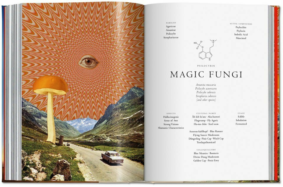 Plant Magick. The Library of Esoterica 