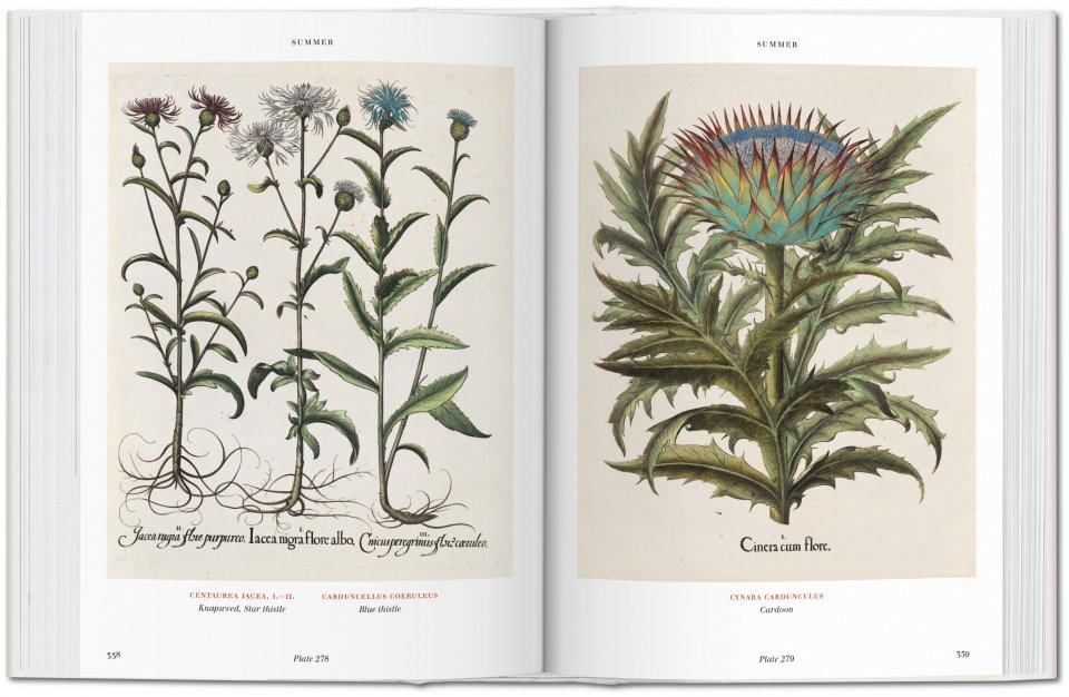 Basilius Besler. Der Garten von Eichstätt. Hortus Eystettensis