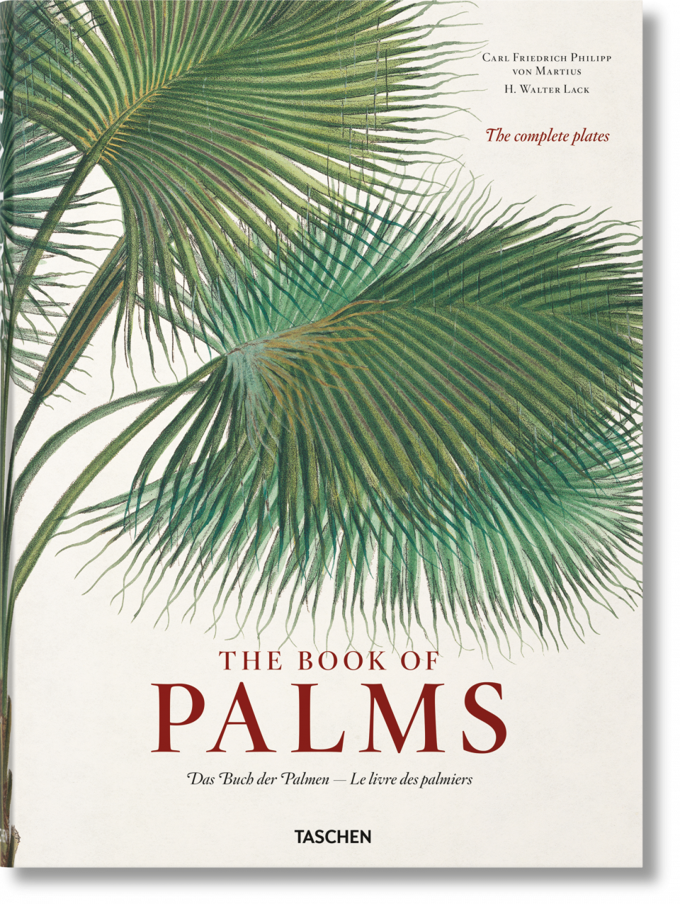 von Martius The Book of Palms