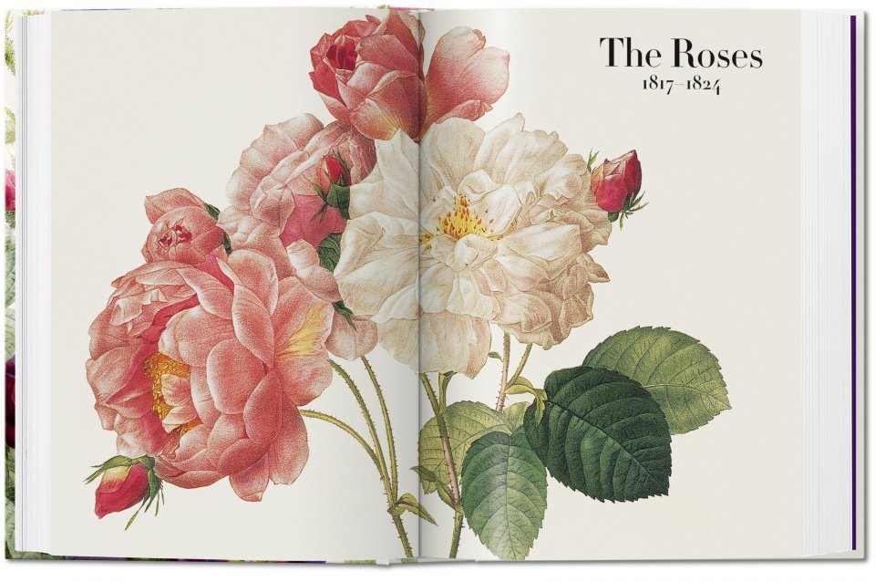 Redouté. The Book of Flowers. 40th Ed. TASCHEN Books