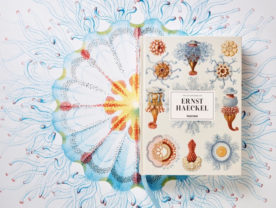 The Art and Science of Ernst Haeckel - image 1