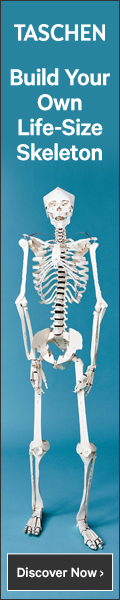 Build Your Own Human Skeleton – Life Size!
