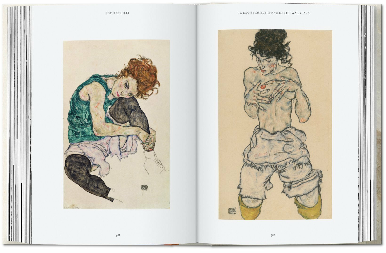 Egon Schiele. Las Pinturas-5